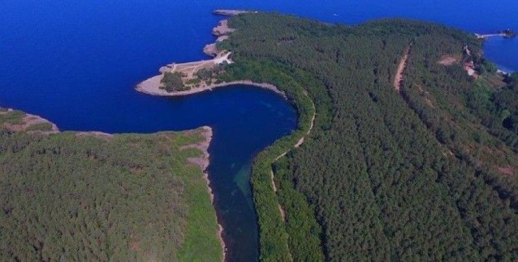 Tabiat parkları 'cazibe merkezi'ne dönüştü