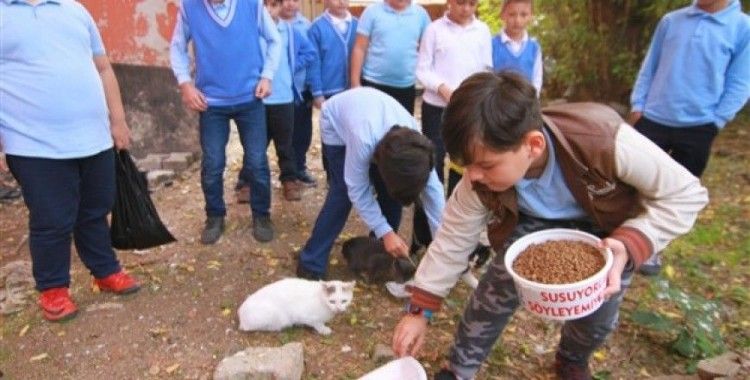 Cesur yürekli öğrenciler