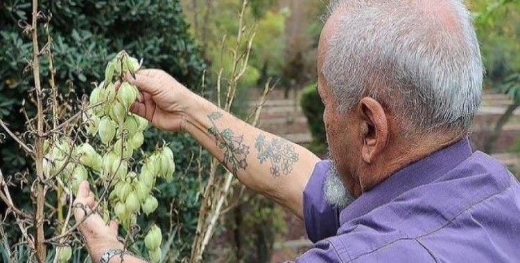 Keşfettiği bitkileri koluna nakşediyor