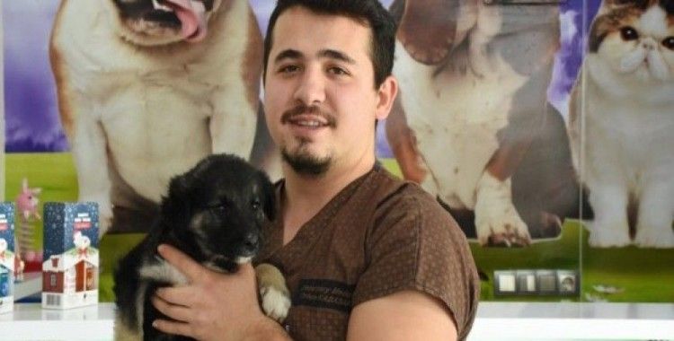 Köpeği ölünce mimarlıktan vazgeçip veteriner oldu