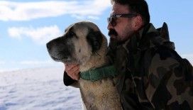 Ömrünü Kangal köpeği yetiştiriciliğine adadı