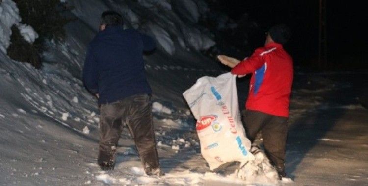 Yaban hayvanları için gece dağlara ekmek bıraktı