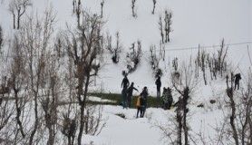 Şırnak'ta yaban hayvanları için doğaya yem bırakıldı 