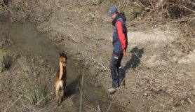 Kayıp genci arama çalışmaları için özel köpek getirildi