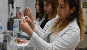 Üniversite öğrencileri 'yenilebilir' plastik üretti