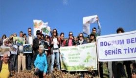 Bodrum'da ormanıma dokunma eylemi