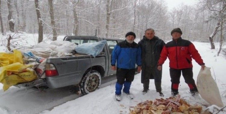 Sokak hayvanları için 7 yıldır ekmek topluyorlar