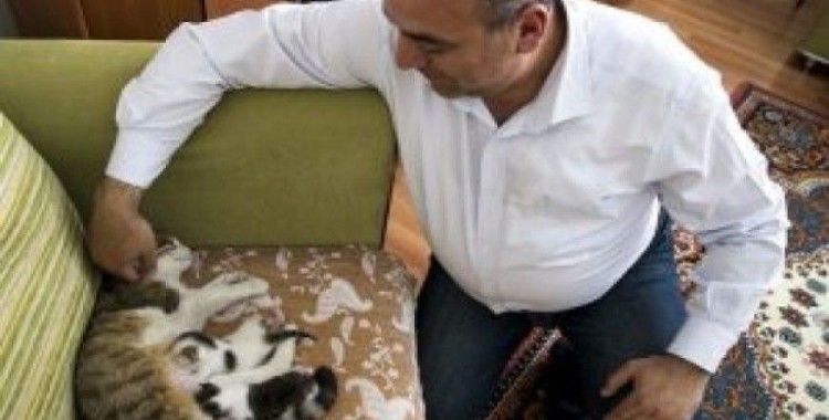 Doğumunu yaptırdığı kedi ile yavrularını sahiplendi