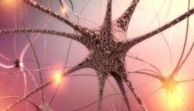 Sinir sistemi hastalıkları nelerdir?