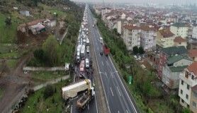 Kocaeli TEM'de hayvan yüklü tır yola devrildi