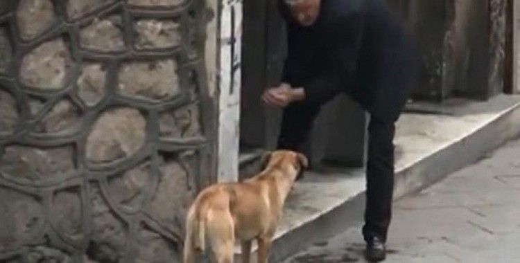 Taksici susayan köpeğe elleriyle su içirdi