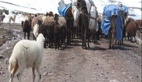 Göçerlerin karlı dağlardaki zorlu yayla yolculuğu