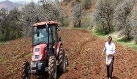 Kuşlar aç kalmasın diye tarlaları ekiyorlar