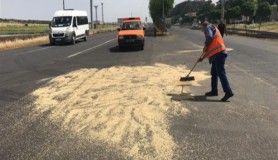 Şanlıurfa'da meydana gelen kazada arpa yola saçıldı