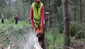 Ormanın 'prensesi' Ülkü'nün zorlu mesaisi