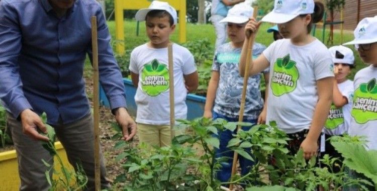 ‘Benim Bahçemin’ ilk ürünleri fide vermeye başladı