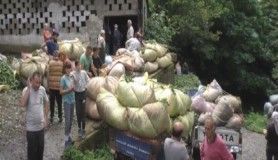 Çaykur Genel Müdür Vekili Alim, 'Çayımıza sahip çıkmak zorundayız'