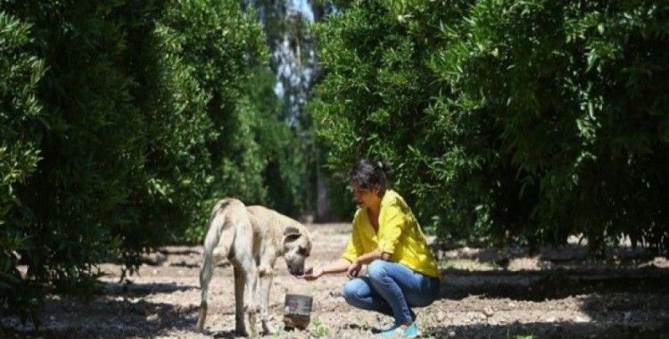 Sokak hayvanlarının 'Can Dostları' oldular