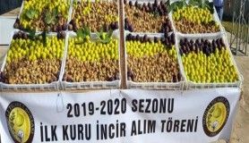 Nazilli'de sezonun ilk inciri 250 TL'den alıcı buldu