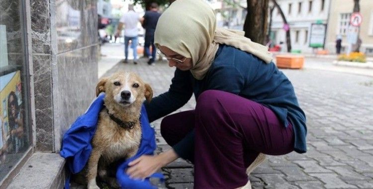 Yağmurda ıslanan köpeği kıyafetiyle kuruladı