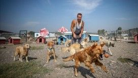 Terk edilmiş köpeklerin patilerinden tutuyor