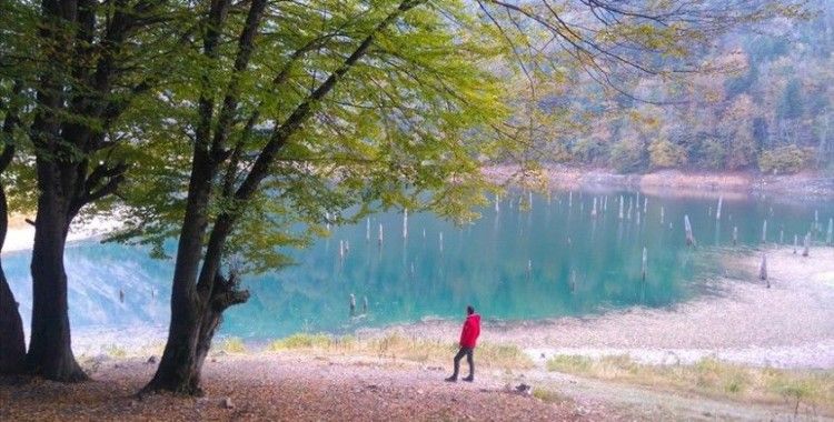 Göldeki ağaçlar sular çekilince ortaya çıktı