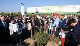 Aile, Çalışma ve Sosyal Hizmetler Bakanı Selçuk, Sinop'ta fidan dikimine katıldı