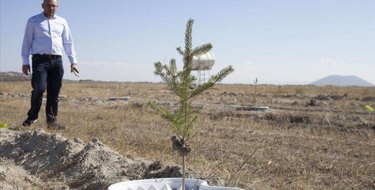 Çölleşmiş arazide '16 litre su' ile fidan büyüttüler