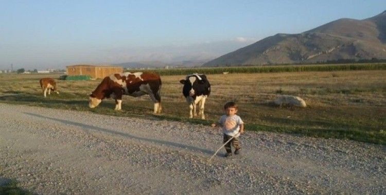 Minik hayvanseverin neşeli görüntüleri tıklanma rekoru kırdı