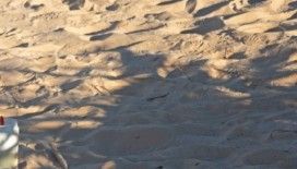 Afrika’da Bir Akdenizli Cezayir