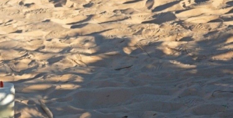 Afrika’da Bir Akdenizli Cezayir