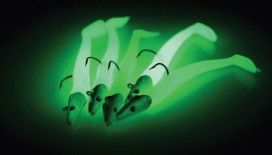 Glow özelliği balıkta Nerede Nasıl Kullanırız?