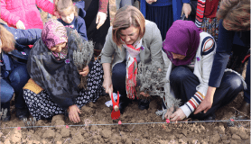 İzmitli kadınlar üretime lavanta bahçeleriyle ortak oluyor