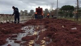 Caddebostan sahilinin renkleri görenleri şaşkına çevirdi!