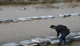 Mersin'de selden sonra ağır bilanço