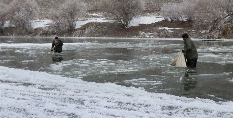 Murat Nehri'nin buz gibi suyunda ekmek mücadelesi