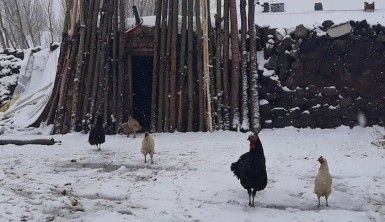 Van'da Nisan ayında kar sürprizi