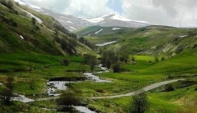 Posof'da muhteşem bahar manzarası