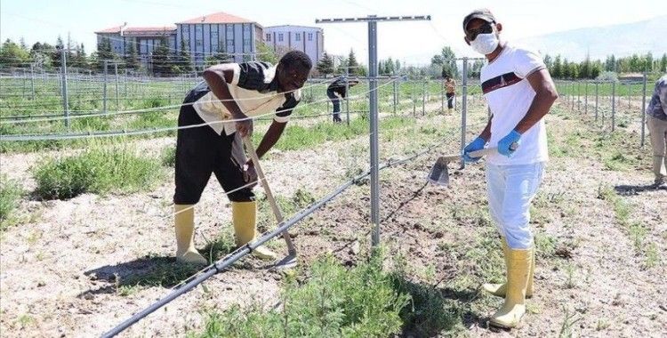 Ülkelerine dönemeyen yabancı öğrencilere üniversitede çalışma imkanı