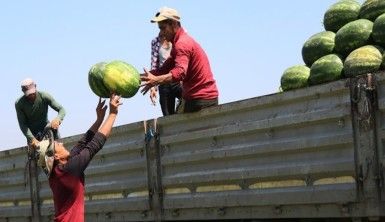 Karpuzda ithalatı bitirecek karar