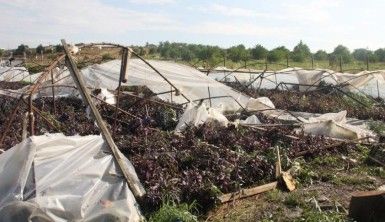 Hortumun vurduğu seralar drone ile görüntülendi