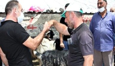 Kurban Pazarında 3'üncü gün yoğunluğu