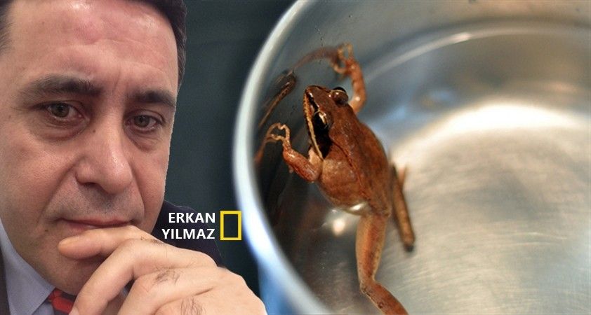 Kurbağanın kaynaması ve dramatik son..