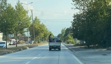 Tarım işçilerinin kamyonet kasasında tehlikeli yolculuğu