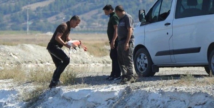 Denizli'de yaralı bulunan filamingo tedaviye alındı