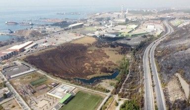 İskenderun'da 55 dönümlük kuş cenneti de kül oldu