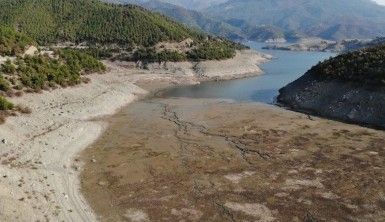 Altınkaya Barajı'nda korkutan görüntü