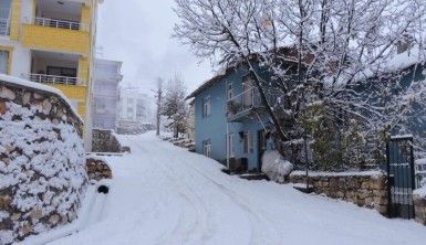 Tunceli'de kar yağışı etkili oldu, 132 köy yolu kapandı