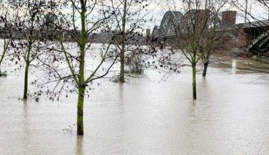 Almanya'da Ren Nehri taştı