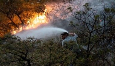 Meksika'da korkutan orman yangını, 400 kişi tahliye edildi